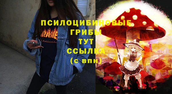 меф Богородицк