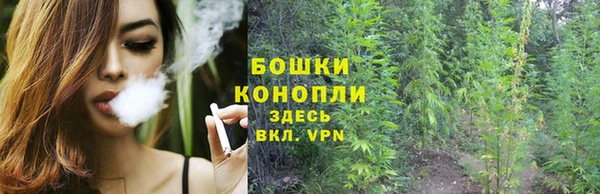 шишки Богданович
