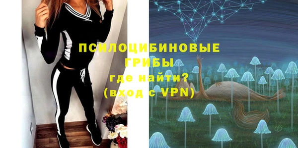 шишки Богданович