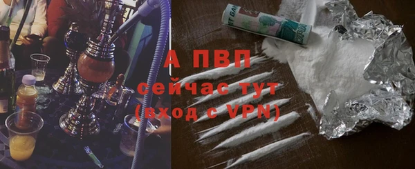 шишки Богданович