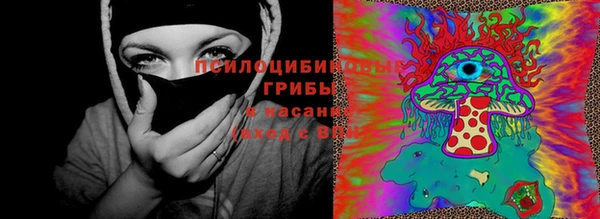 меф Богородицк