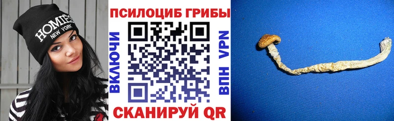 Псилоцибиновые грибы ЛСД Севск